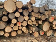 Sprzedam drzewo opałowe