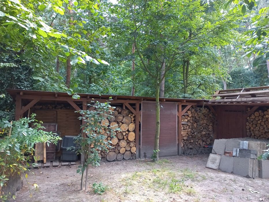 Drewno opałowe sezonowane 5 lat