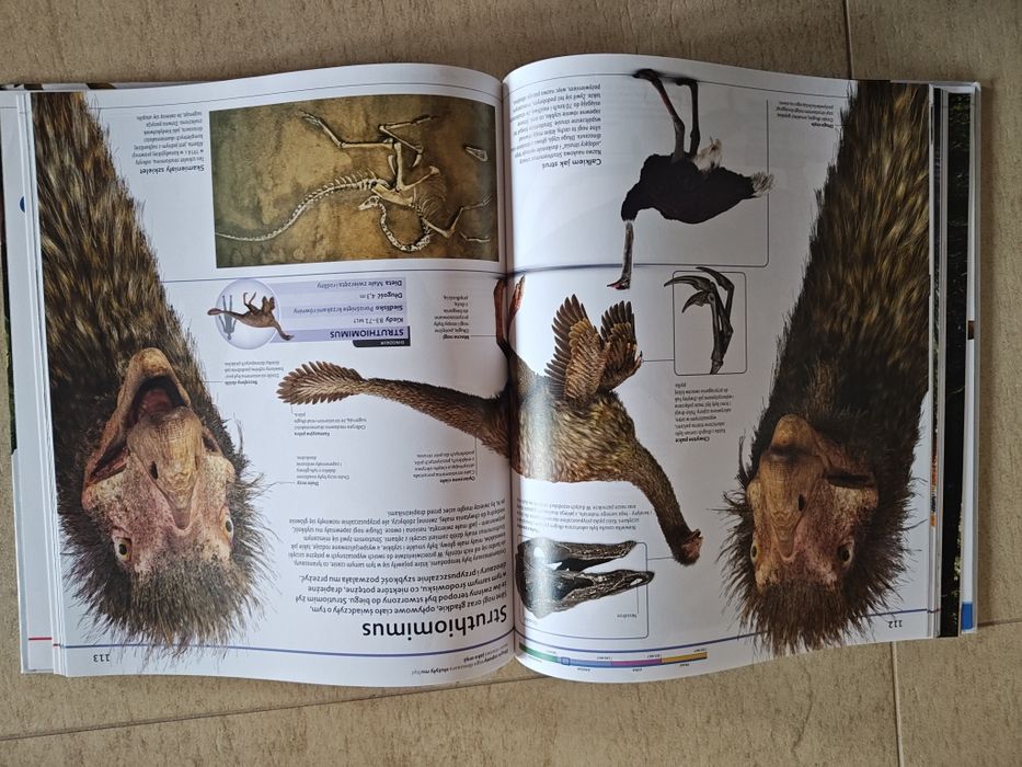 DINOZAURY -Najnowsza encyklopedia dinozaurów