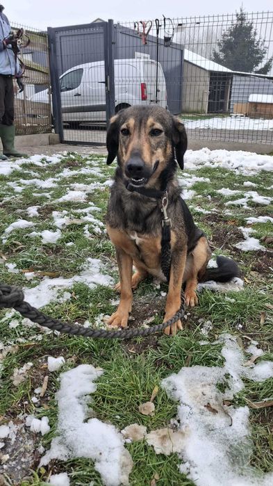 Zoja szuka człowieka z sercem – powolny rozkwit miłości