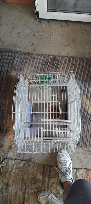 Gaiola para pássaro