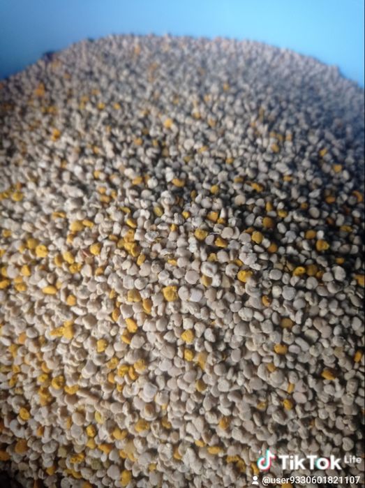 Пилок квітковий (Обніжя бджолине)