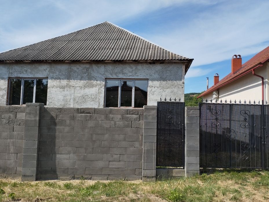 Продам дом Закарпатье Мужиево