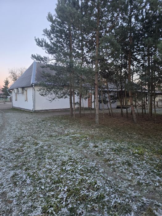 Продаю бар-ресторан