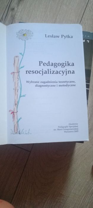 Pedagogika resocjalizacyjna