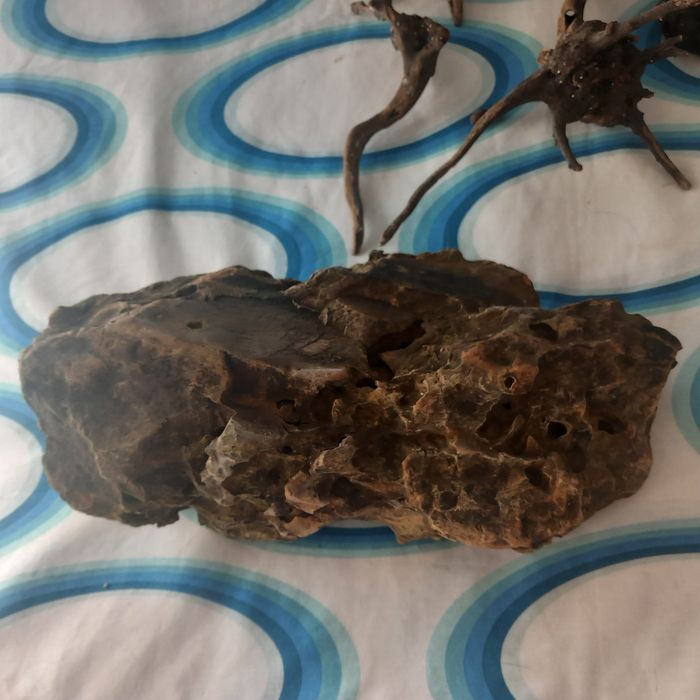 Pedra decorativa aquario