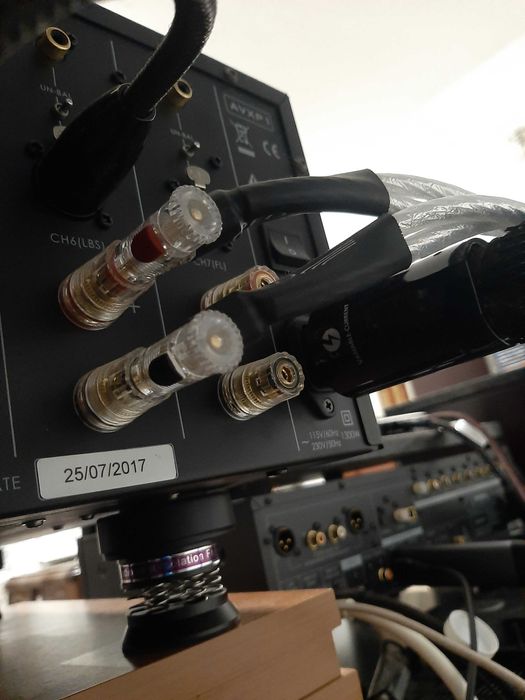 Cabo de coluna Qed Genesis e audioquest CV-1