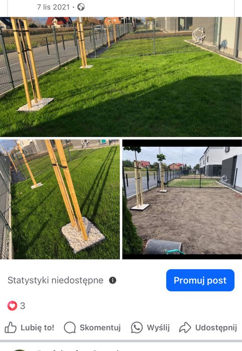 Zakładanie trawników   Usługi  Ogrodnicze Projektowanie Pielęgnacja