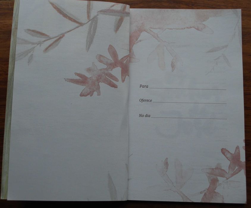 Os Sonhos de José de Maria Teresa Maia Gonzalez - 1ª Edição 2016