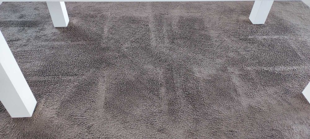 Carpete castanha com pêlo curto