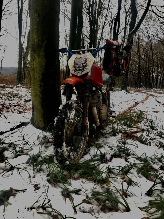 Мотоцикел для ліса