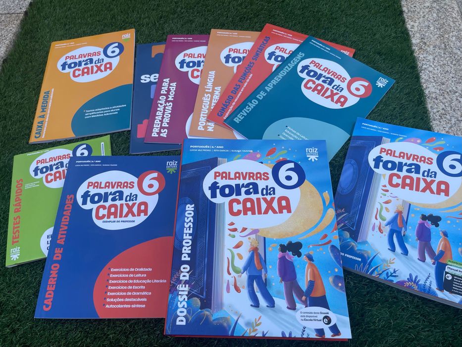 Livro palavras fora da caixa 6.º ano