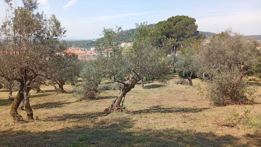 Terreno para construção
