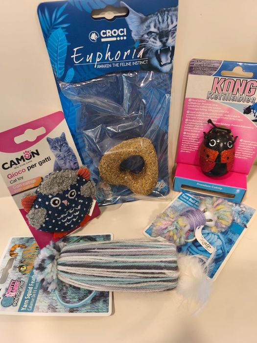 Conjunto brinquedos gato