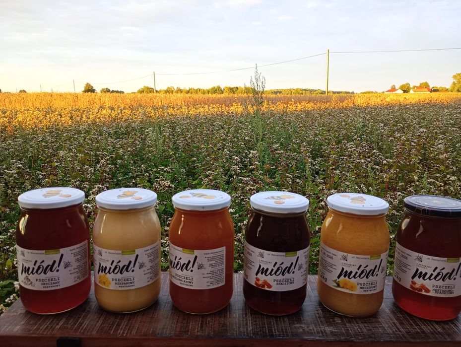 MIÓD pszczeli, Polski - 2szt. lipowy + 2 szt. wielokwiatowy
