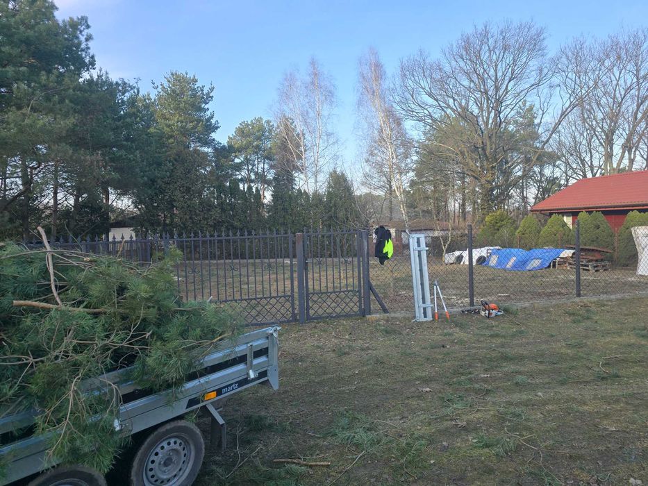 Wycinka drzew, pielęgnacja zieleni, formowanie koron,