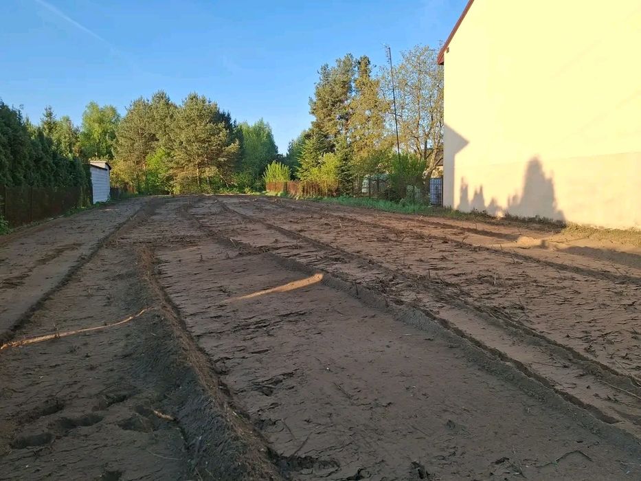 Wycinka drzew lasu skup drewna mulczer pilarz drwal karczowanie