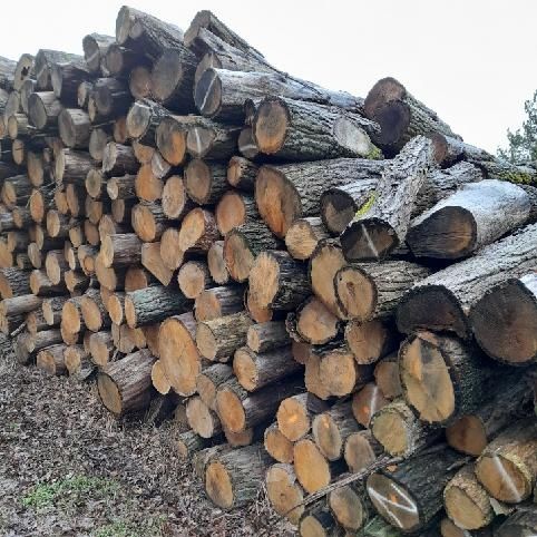 Drewno opałowe kominkowe olcha dąb buk brzoza sosna