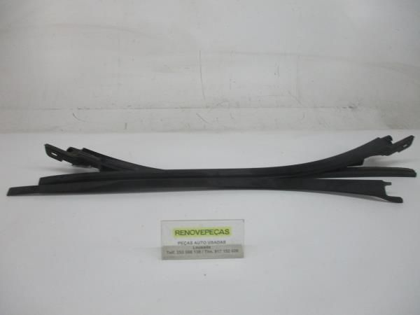 Friso / Frisos RENAULT Clio III (BR0/1, CR0/1)