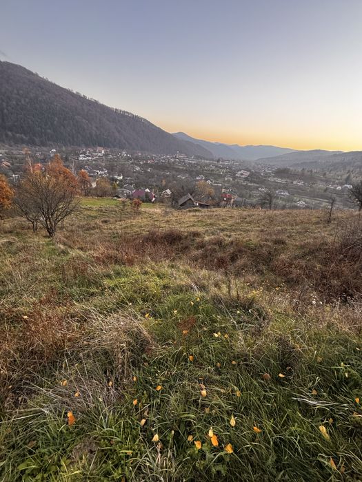 Земельна діляка Делятин 18,5 сот