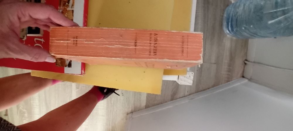 Livro A Tragédia da rua das flores de Eça de Quiróz