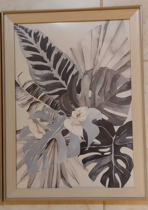 Frames 47x35 cm64730093366785123