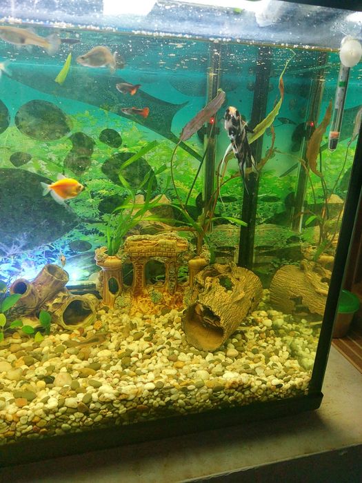 Аквариум 200 литров