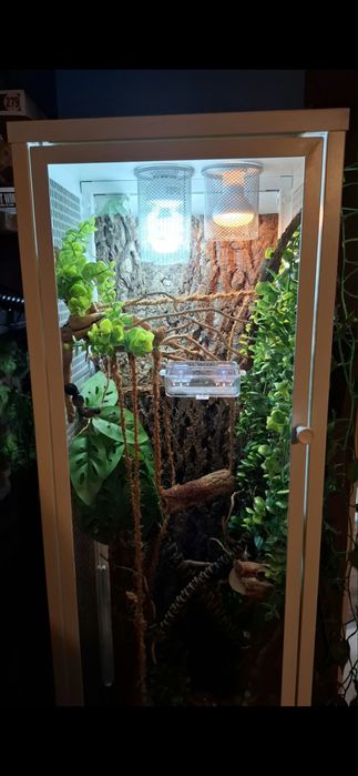 Terrarium dla kameleona, gekona, gadów