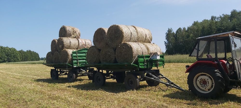 Siano baloty tegoroczne. Ekologiczne balot 120x120