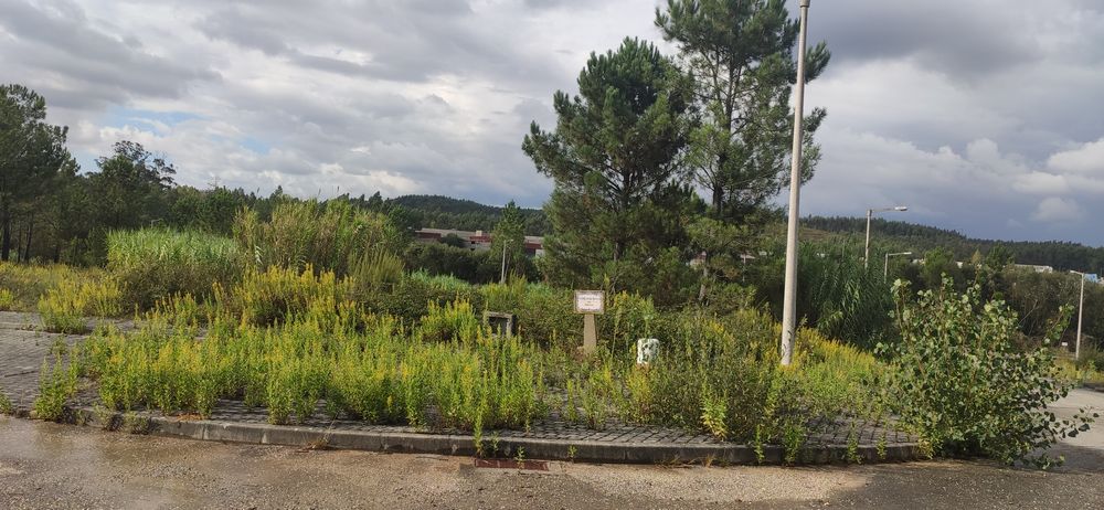 Lote construção - Pombal
