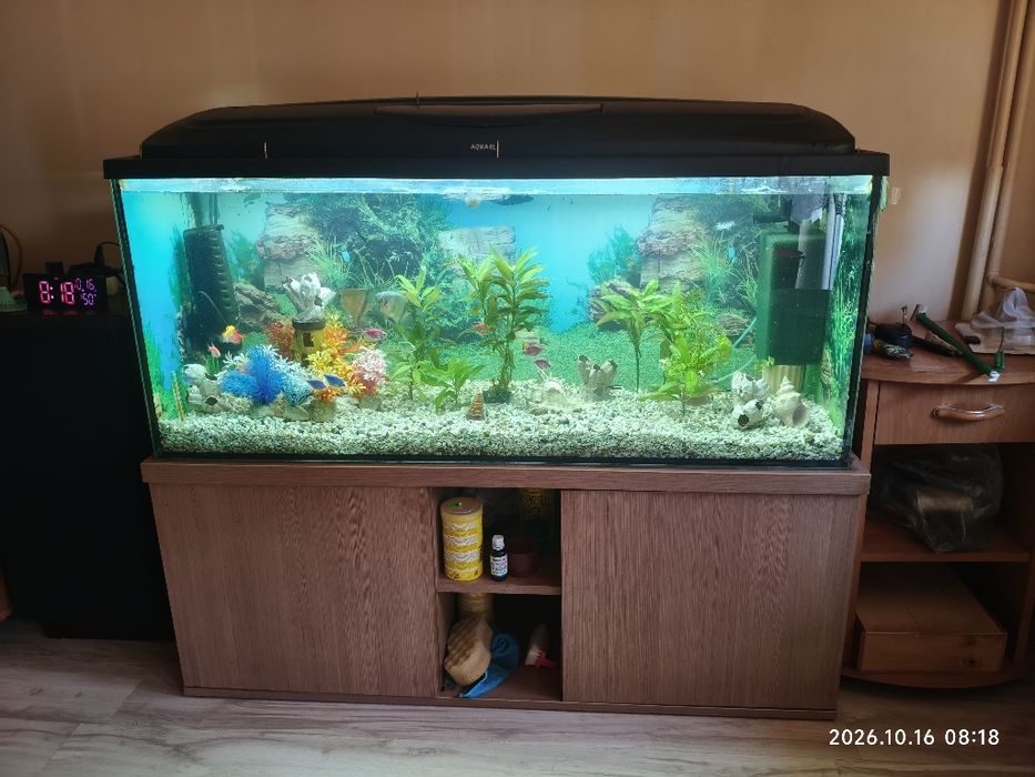 Akwarium 250l z rybami, osprzetem i szafką
