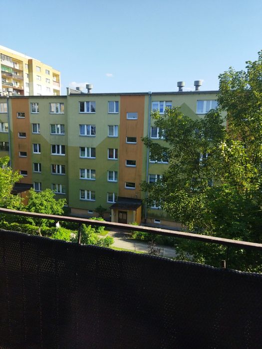 Mieszkanie do wynajęcia