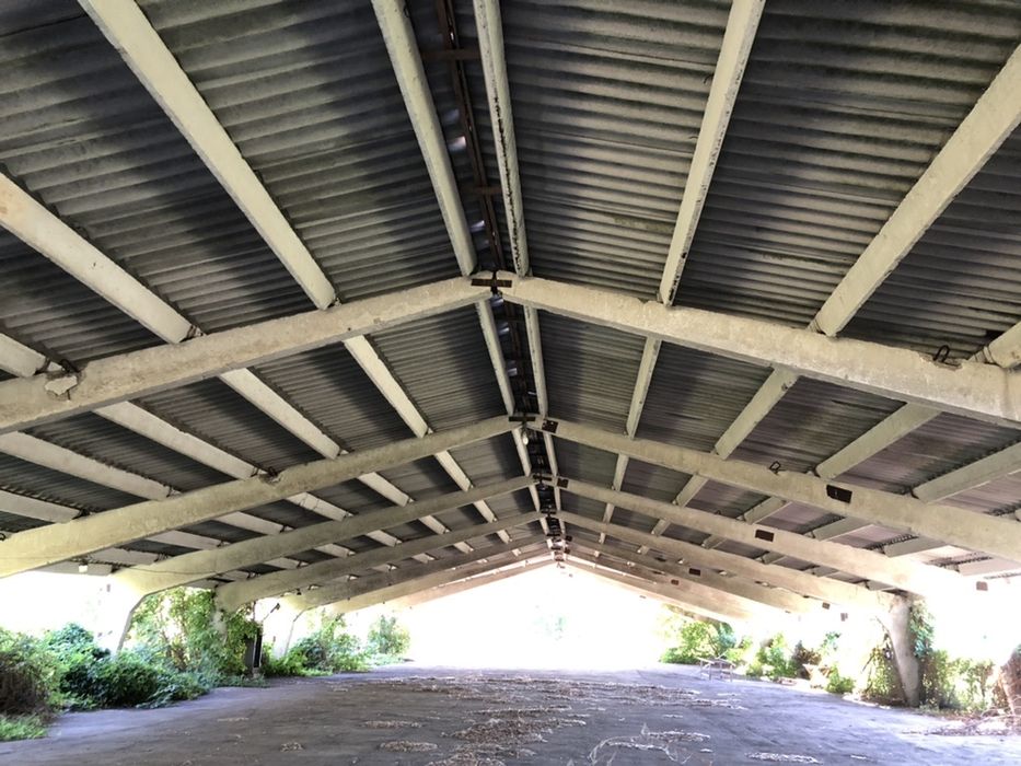 Клюшечник, зерносклад, ферма.