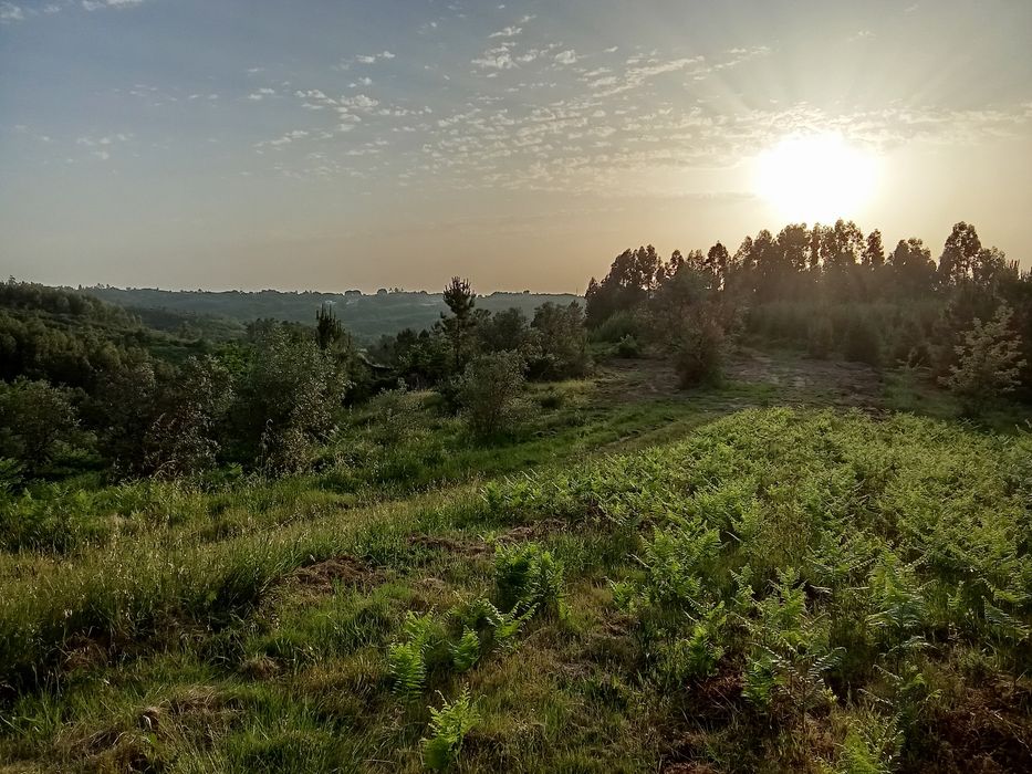 Quinta isolada mas a 2 km de Seia