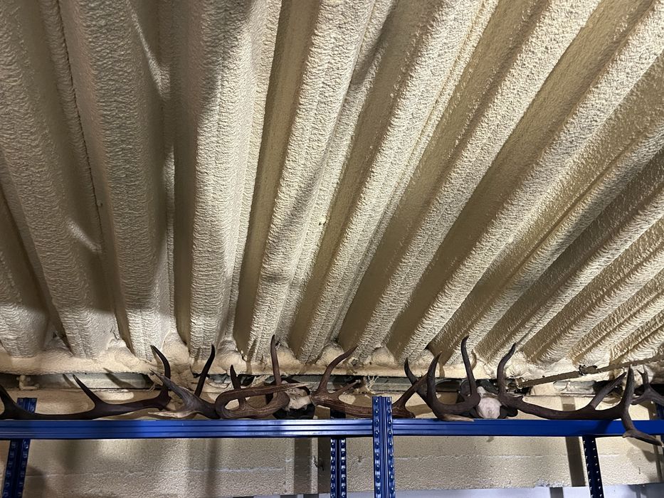 Conjunto de trofeus de caça