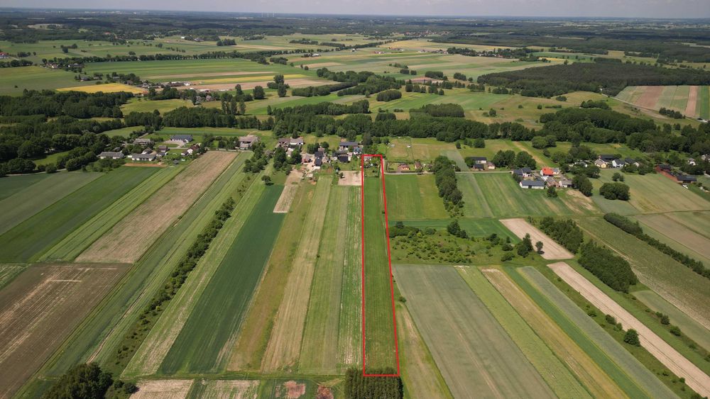 Siedlisko 0,81 ha Blizin gm. Wola Krzysztoporska dom z polem uprawnym