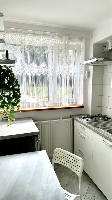 Mieszkanie – Wrocław - Widok 3