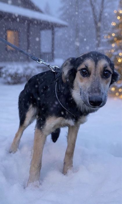 Ніжна дівчинка ДУЖЕ ЧЕКАЄ на надійну родину !