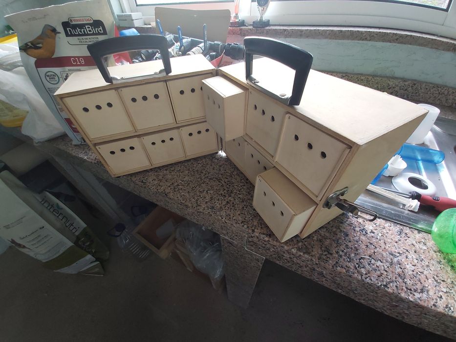 Transportadora 12 buracos