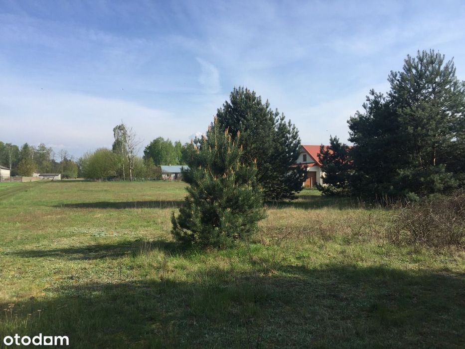 Dzialka z warunkami zabudowy na 3 domy przy lesie