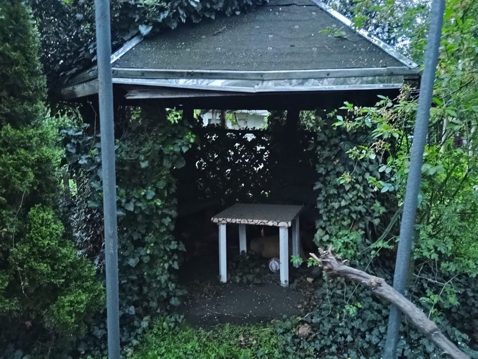 Działka 228 m² ogródek działkowy ROD Lepsze Jutro Prusa Sródmieście Wrocław - Widok 3