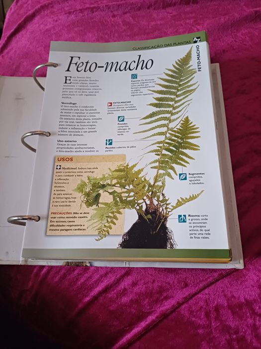 Enciclopédia Os Segredos  das Plantas
