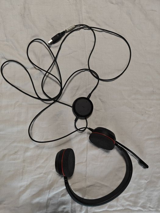 Auriculares - Jabra Evolve 20