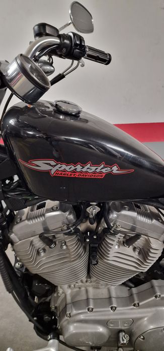 Harley davidson 883
