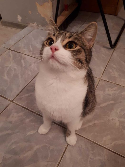 Adopcja mama i synek – duet, którego nie warto rozdzielić.