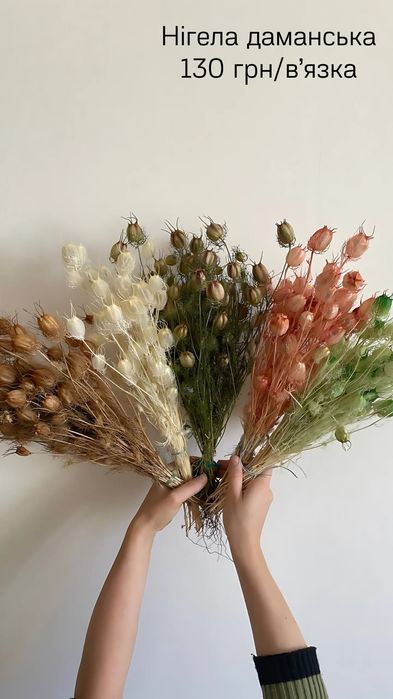 Сухоцвіти (пшениця, лагурус, фалярис)