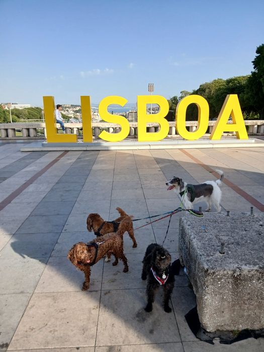 Pet Sitter e Dog Walker