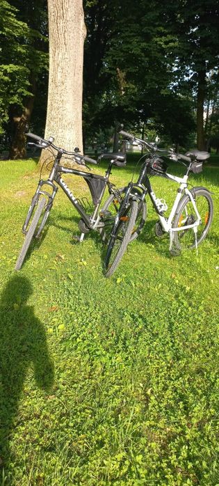 Słoneczny apartament Poleska - do dyspozycji rowery