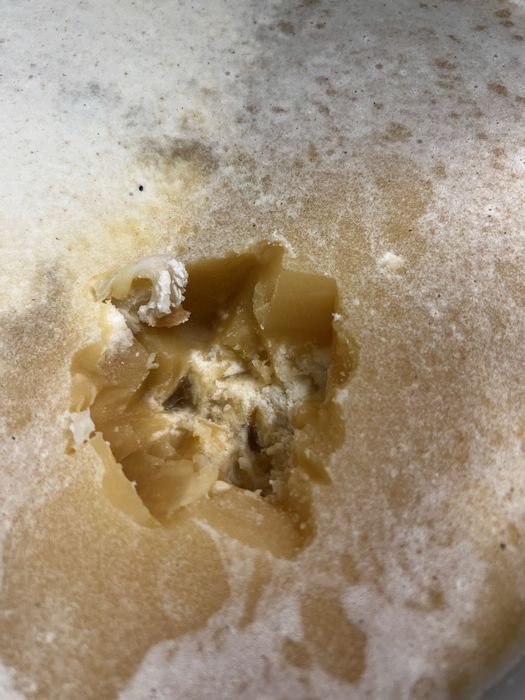 Miód pszczeli akacjowy,lipowy,gryczany,spadziowy,pszczoły,pasieka,ule