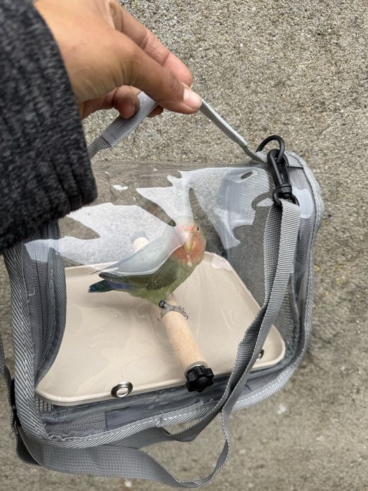 Bolsa de transporte de aves